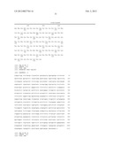 NOVEL POLYPEPTIDE, CDNA ENCODING THE SAME, AND USE THEREOF diagram and image