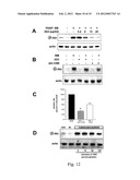 ANTIBODIES AGAINST PDGFR ALPHA TO INHIBIT TUMOR GROWTH diagram and image