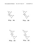 ANTISENSE COMPOUND FOR INDUCING IMMUNOLOGICAL TOLERANCE diagram and image