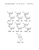 ANTISENSE COMPOUND FOR INDUCING IMMUNOLOGICAL TOLERANCE diagram and image