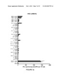 SIMPLE VACCINES FROM DNA LAUNCHED SUICIDAL FLAVIVIRUSES diagram and image