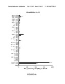 SIMPLE VACCINES FROM DNA LAUNCHED SUICIDAL FLAVIVIRUSES diagram and image