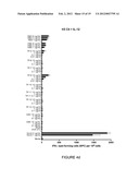 SIMPLE VACCINES FROM DNA LAUNCHED SUICIDAL FLAVIVIRUSES diagram and image