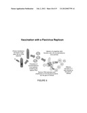 SIMPLE VACCINES FROM DNA LAUNCHED SUICIDAL FLAVIVIRUSES diagram and image