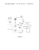 SIMPLE VACCINES FROM DNA LAUNCHED SUICIDAL FLAVIVIRUSES diagram and image