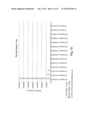 Stable Formulations for Lyophilizing Therapeutic Particles diagram and image