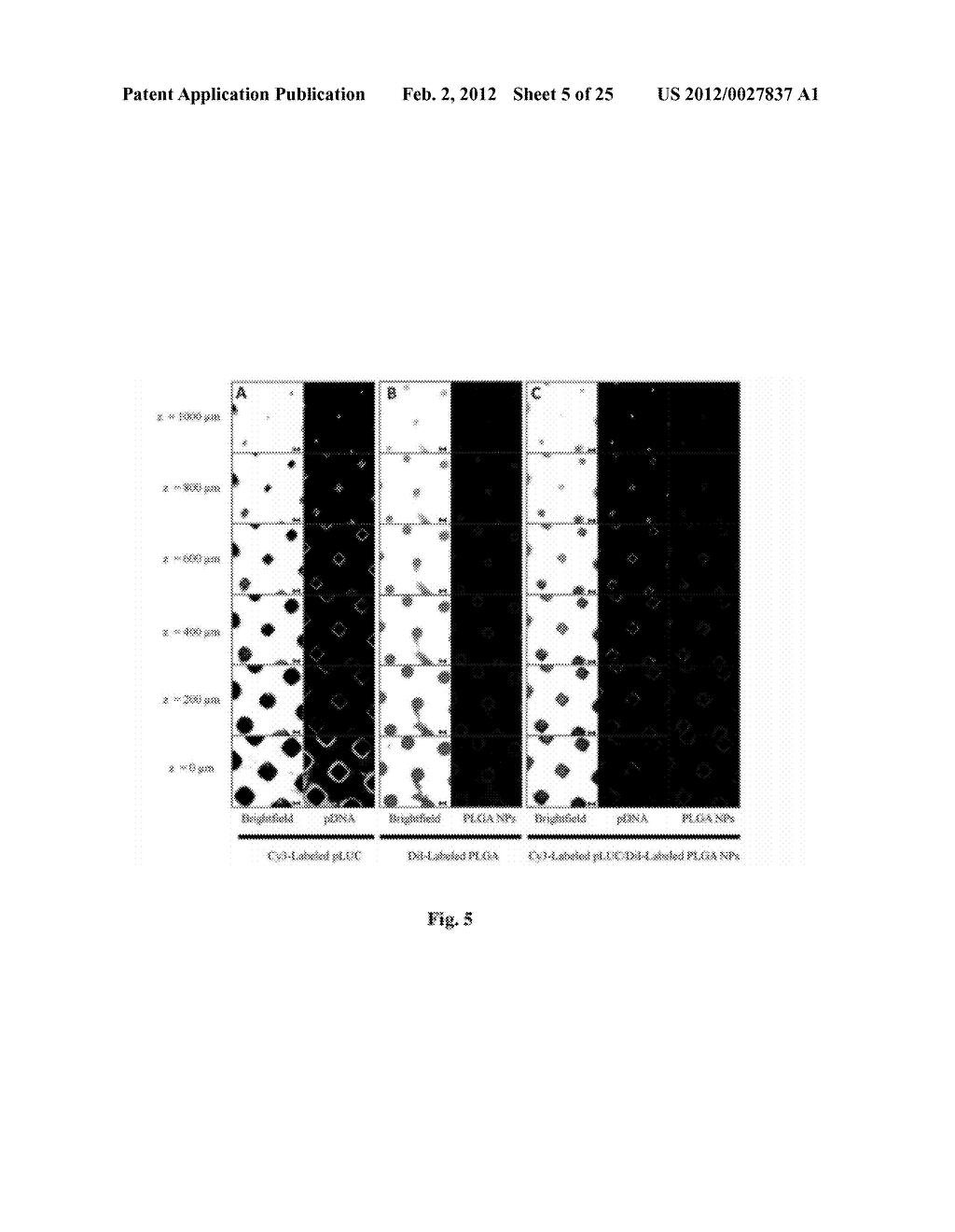 MULTILAYER COATING COMPOSITIONS, COATED SUBSTRATES AND METHODS THEREOF - diagram, schematic, and image 06