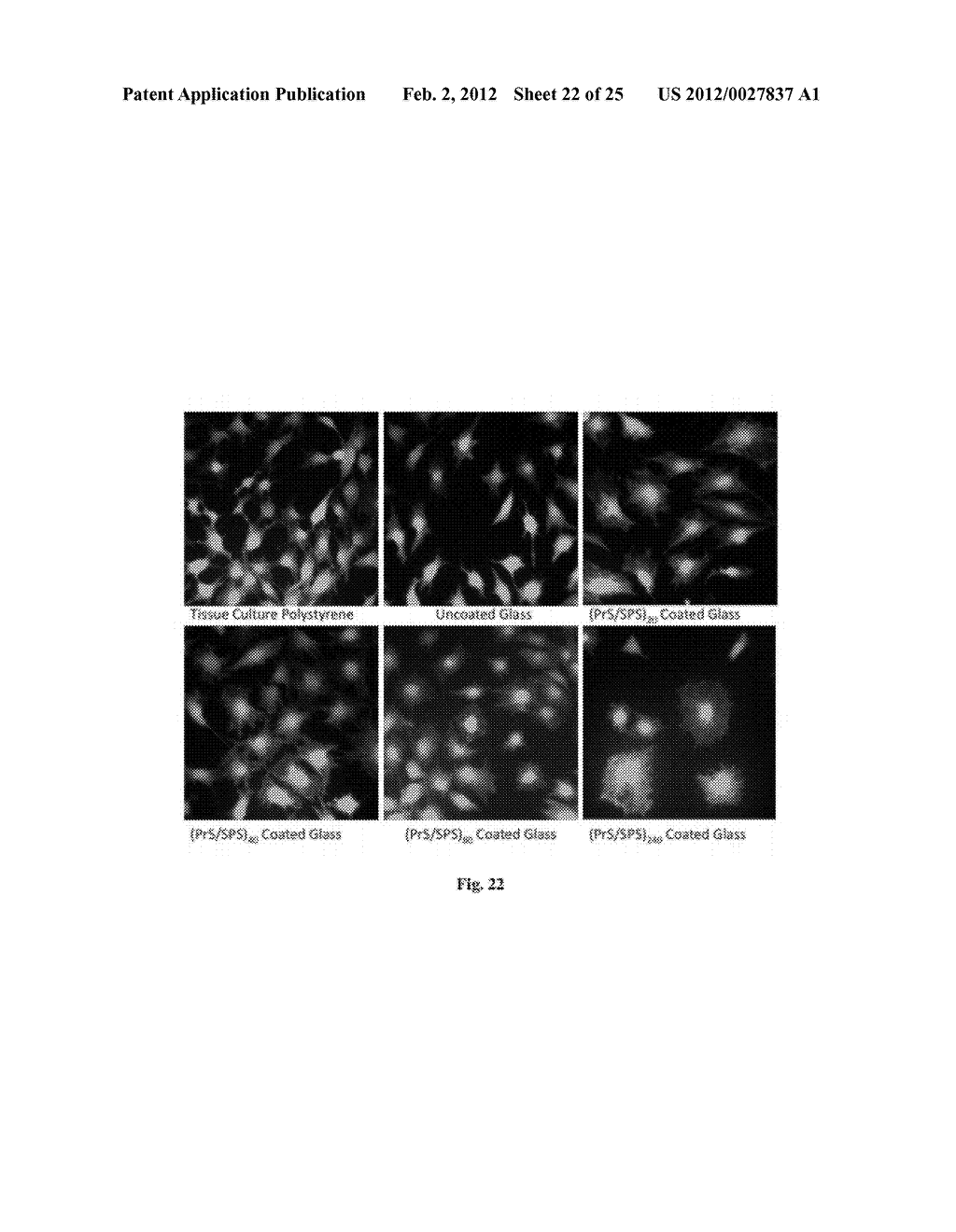 MULTILAYER COATING COMPOSITIONS, COATED SUBSTRATES AND METHODS THEREOF - diagram, schematic, and image 23