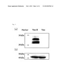 HB-EGF BOUND PROTEIN COMPLEX diagram and image