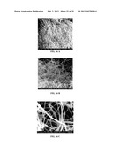 REACTOR AND METHOD FOR PRODUCTION OF NANOSTRUCTURES diagram and image