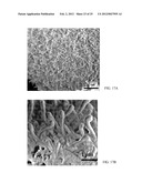 REACTOR AND METHOD FOR PRODUCTION OF NANOSTRUCTURES diagram and image