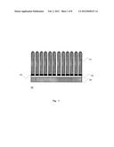 CARBON NANOTUBE FORMING SUBSTRATE, CARBON NANOTUBE COMPLEX, ENERGY DEVICE,     METHOD FOR MANUFACTURING ENERGY DEVICE, AND APPARATUS INCLUDING ENERGY     DEVICE diagram and image