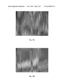 CARBON NANOTUBE FORMING SUBSTRATE, CARBON NANOTUBE COMPLEX, ENERGY DEVICE,     METHOD FOR MANUFACTURING ENERGY DEVICE, AND APPARATUS INCLUDING ENERGY     DEVICE diagram and image