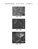 ANODE MATERIALS FOR LITHIUM-ION BATTERIES diagram and image