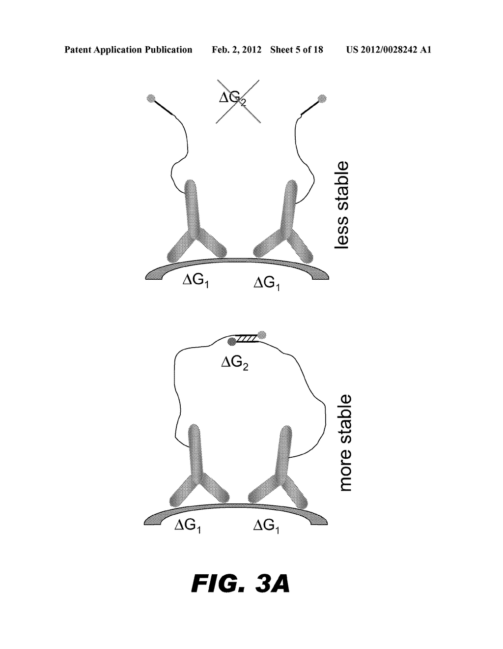 BIOSENSOR FOR DETECTING MULTIPLE EPITOPES ON A TARGET - diagram, schematic, and image 06