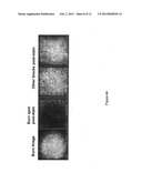 MITIGATION OF PHOTODAMAGE IN ANALYTICAL REACTIONS diagram and image