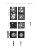 MITIGATION OF PHOTODAMAGE IN ANALYTICAL REACTIONS diagram and image