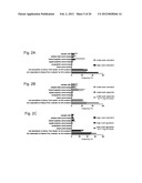 DISCOVERY OF CANDIDATE BIOMARKERS OF IN VIVO APOPTOSIS BY GLOBAL PROFILING     OF CASPASE CLEAVAGE SITES diagram and image