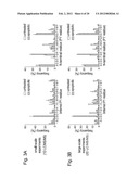 DISCOVERY OF CANDIDATE BIOMARKERS OF IN VIVO APOPTOSIS BY GLOBAL PROFILING     OF CASPASE CLEAVAGE SITES diagram and image