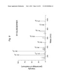 DISCOVERY OF CANDIDATE BIOMARKERS OF IN VIVO APOPTOSIS BY GLOBAL PROFILING     OF CASPASE CLEAVAGE SITES diagram and image