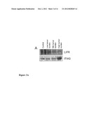 Methods For Detection Of Gastric Cancer diagram and image