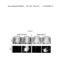 CHARGED-BALANCED IMAGING AGENTS diagram and image