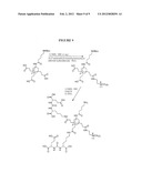 CHARGED-BALANCED IMAGING AGENTS diagram and image