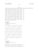 Whitefly Ecdysone Receptor Nucleic Acids, Polypeptides, and Uses Thereof diagram and image