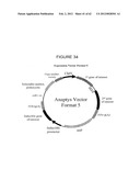 SOMATIC HYPERMUTATION SYSTEMS diagram and image