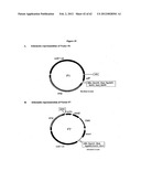 SOMATIC HYPERMUTATION SYSTEMS diagram and image