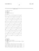 METHODS AND COMPOSITIONS RELATING TO POLYPEPTIDES WITH RNASE III DOMAINS     THAT MEDIATE RNA INTERFERENCE diagram and image