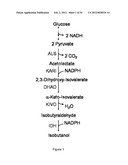 ENGINEERED MICROORGANISMS CAPABLE OF PRODUCING TARGET COMPOUNDS UNDER     ANAEROBIC CONDITIONS diagram and image