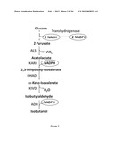 ENGINEERED MICROORGANISMS CAPABLE OF PRODUCING TARGET COMPOUNDS UNDER     ANAEROBIC CONDITIONS diagram and image