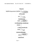 ENGINEERED MICROORGANISMS CAPABLE OF PRODUCING TARGET COMPOUNDS UNDER     ANAEROBIC CONDITIONS diagram and image