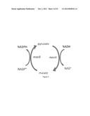 ENGINEERED MICROORGANISMS CAPABLE OF PRODUCING TARGET COMPOUNDS UNDER     ANAEROBIC CONDITIONS diagram and image