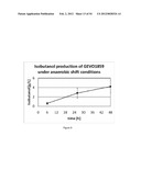 ENGINEERED MICROORGANISMS CAPABLE OF PRODUCING TARGET COMPOUNDS UNDER     ANAEROBIC CONDITIONS diagram and image