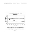 ENGINEERED MICROORGANISMS CAPABLE OF PRODUCING TARGET COMPOUNDS UNDER     ANAEROBIC CONDITIONS diagram and image