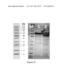 ENGINEERED MICROORGANISMS CAPABLE OF PRODUCING TARGET COMPOUNDS UNDER     ANAEROBIC CONDITIONS diagram and image