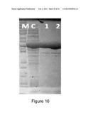 ENGINEERED MICROORGANISMS CAPABLE OF PRODUCING TARGET COMPOUNDS UNDER     ANAEROBIC CONDITIONS diagram and image