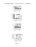 ENGINEERED MICROORGANISMS CAPABLE OF PRODUCING TARGET COMPOUNDS UNDER     ANAEROBIC CONDITIONS diagram and image