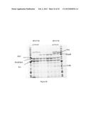 ENGINEERED MICROORGANISMS CAPABLE OF PRODUCING TARGET COMPOUNDS UNDER     ANAEROBIC CONDITIONS diagram and image