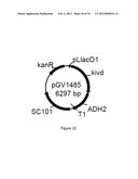 ENGINEERED MICROORGANISMS CAPABLE OF PRODUCING TARGET COMPOUNDS UNDER     ANAEROBIC CONDITIONS diagram and image