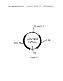 ENGINEERED MICROORGANISMS CAPABLE OF PRODUCING TARGET COMPOUNDS UNDER     ANAEROBIC CONDITIONS diagram and image