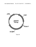 ENGINEERED MICROORGANISMS CAPABLE OF PRODUCING TARGET COMPOUNDS UNDER     ANAEROBIC CONDITIONS diagram and image