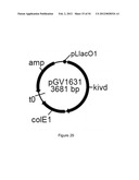 ENGINEERED MICROORGANISMS CAPABLE OF PRODUCING TARGET COMPOUNDS UNDER     ANAEROBIC CONDITIONS diagram and image