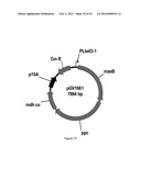 ENGINEERED MICROORGANISMS CAPABLE OF PRODUCING TARGET COMPOUNDS UNDER     ANAEROBIC CONDITIONS diagram and image