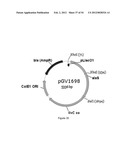 ENGINEERED MICROORGANISMS CAPABLE OF PRODUCING TARGET COMPOUNDS UNDER     ANAEROBIC CONDITIONS diagram and image