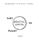 ENGINEERED MICROORGANISMS CAPABLE OF PRODUCING TARGET COMPOUNDS UNDER     ANAEROBIC CONDITIONS diagram and image