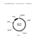 ENGINEERED MICROORGANISMS CAPABLE OF PRODUCING TARGET COMPOUNDS UNDER     ANAEROBIC CONDITIONS diagram and image