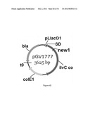 ENGINEERED MICROORGANISMS CAPABLE OF PRODUCING TARGET COMPOUNDS UNDER     ANAEROBIC CONDITIONS diagram and image